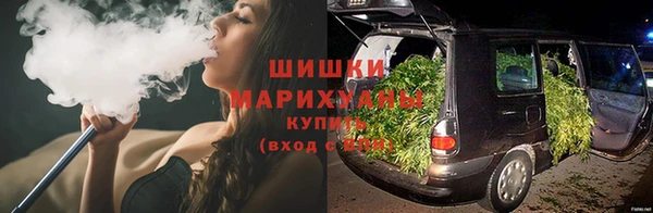 прущие грибы Балахна