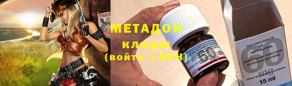 прущие грибы Балахна