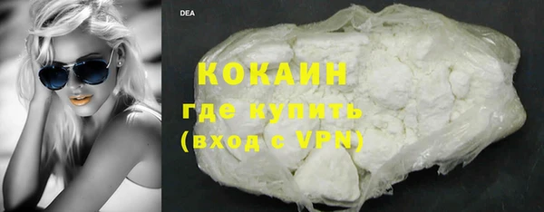 прущие грибы Балахна