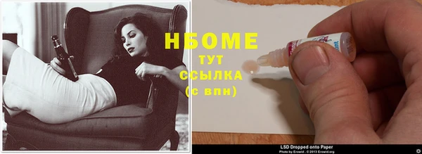 прущие грибы Балахна