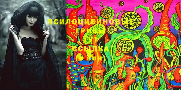 стафф Баксан