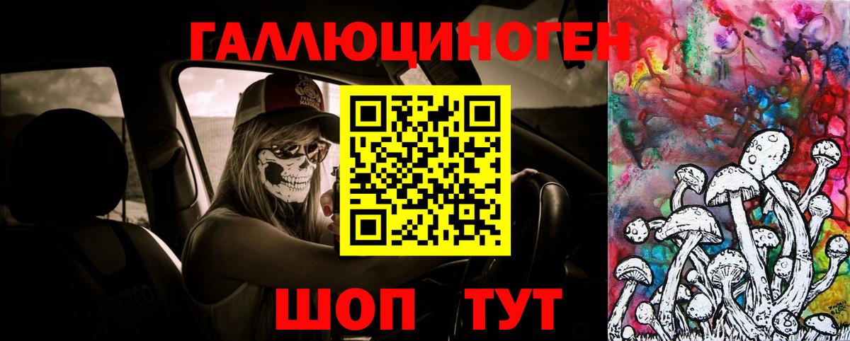 Галлюциногенные грибы Psilocybine cubensis Коммунар
