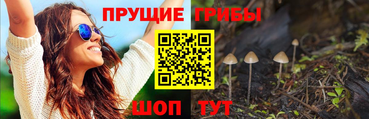 Марихуана  ГАШ  Коммунар  МДМА  COCAIN  NBOMe  Меф МЯУ МЯУ   Вейп ТГК  КОКАИН  Alpha-PVP СК   Вход с VPN 