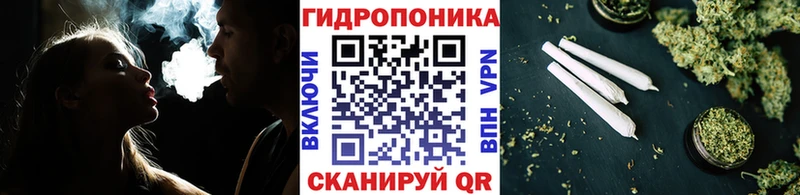 Каннабис конопля  Коммунар 
